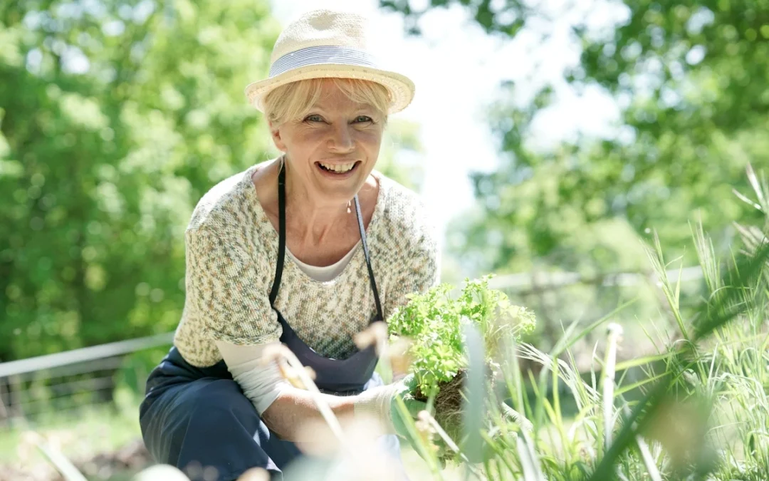 Phyllis: A Complicated Recovery